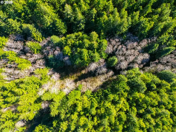 Newport Heights DR #TL106, Newport, OR 97365