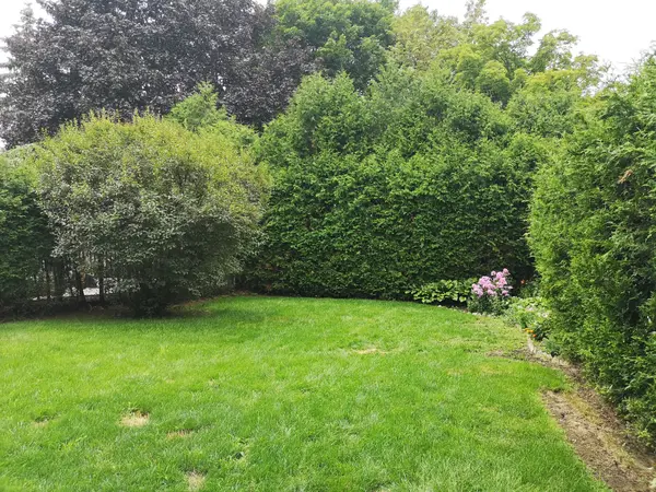 8 Janus CT #Bsmt, Toronto C15, ON M2H 1S4