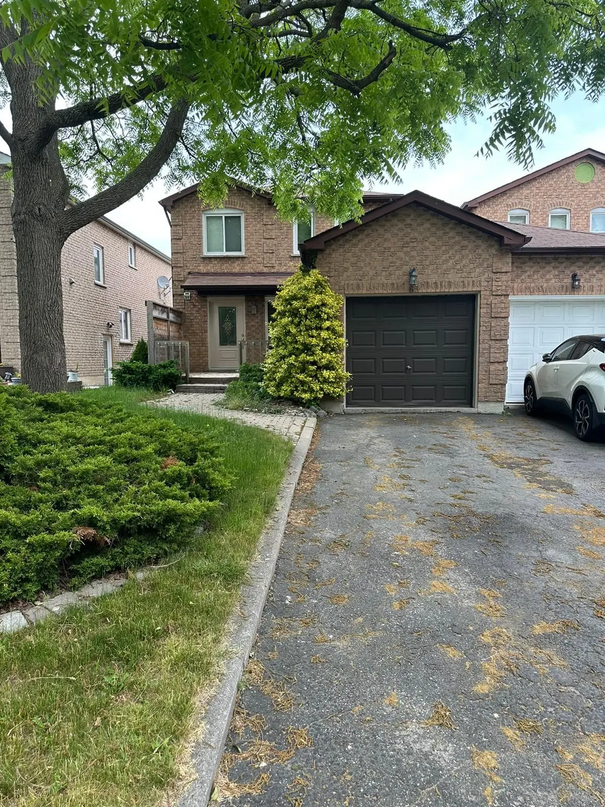65 Hewitt CRES #Main, Ajax, ON L1S 7A6