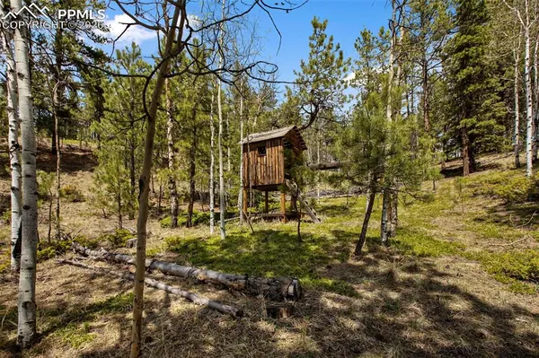1011 W Bison Creek TRL, Divide, CO 80814