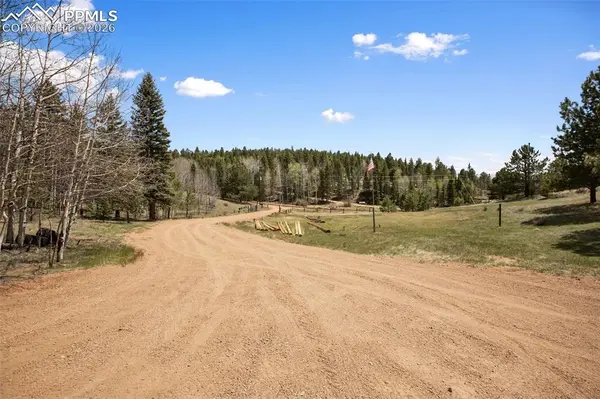 1011 W Bison Creek TRL, Divide, CO 80814