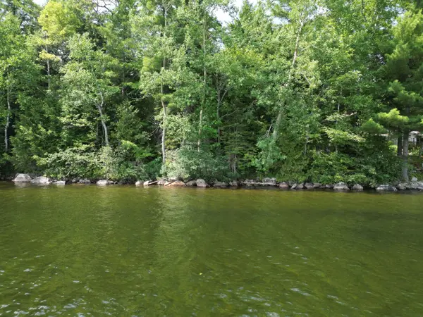 0 Halls Lake RD, Algonquin Highlands, ON K0M 1S0