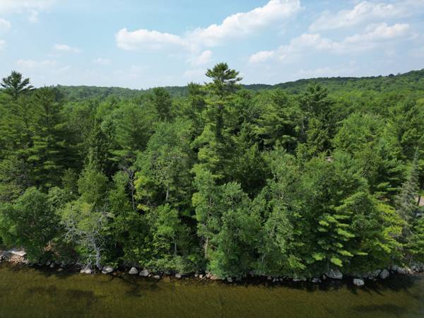 0 Halls Lake RD, Algonquin Highlands, ON K0M 1S0