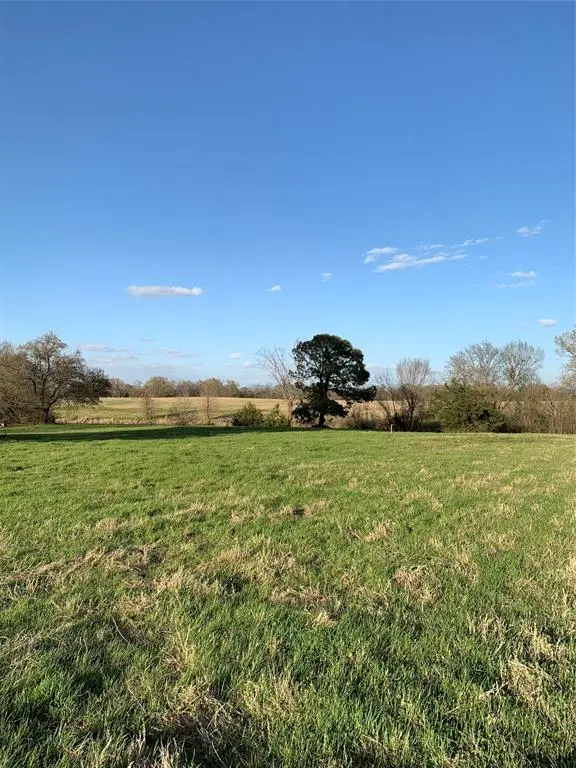 2366 VZ County Road 1508, Van, TX 75790