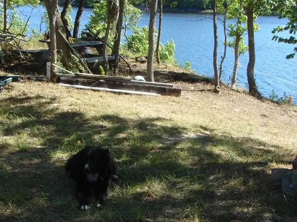 14 BESTWICK CRES, Whitestone, ON P0A 1G0