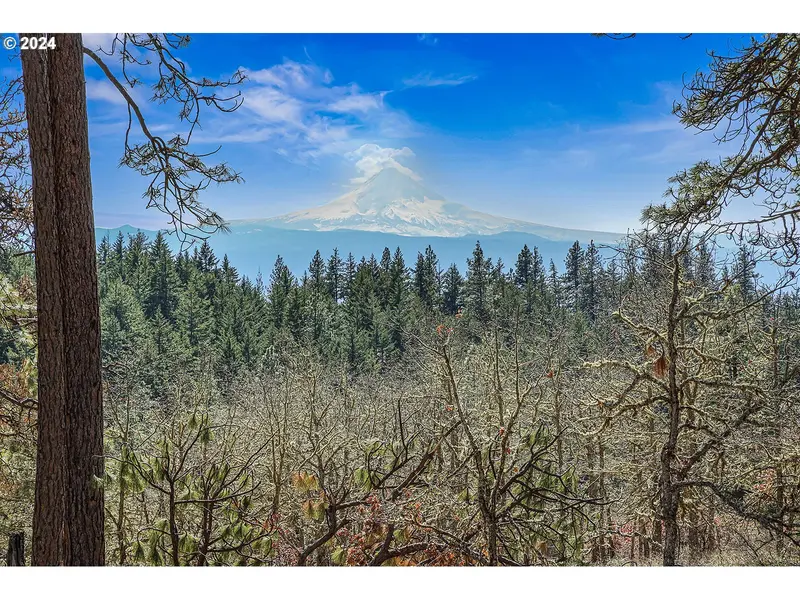 Secluded WAY #2, Lyle, WA 98635