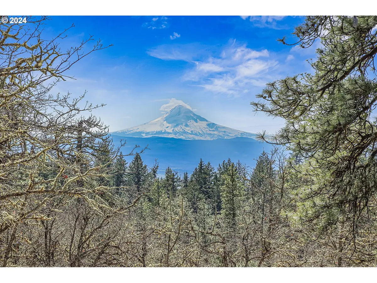 Secluded WAY #4, Lyle, WA 98635