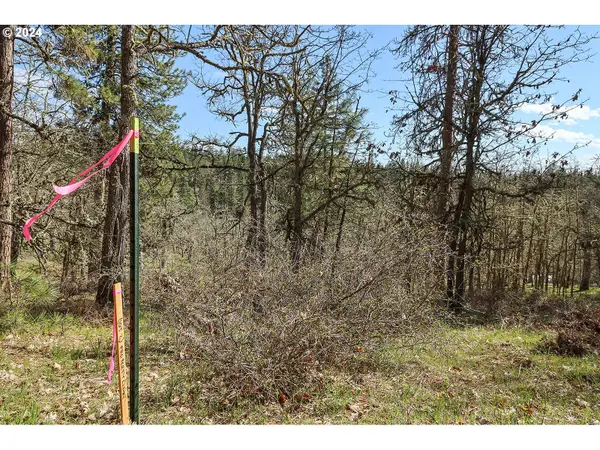 Secluded WAY #2, Lyle, WA 98635