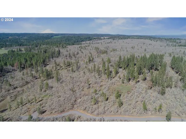 Secluded WAY #2, Lyle, WA 98635