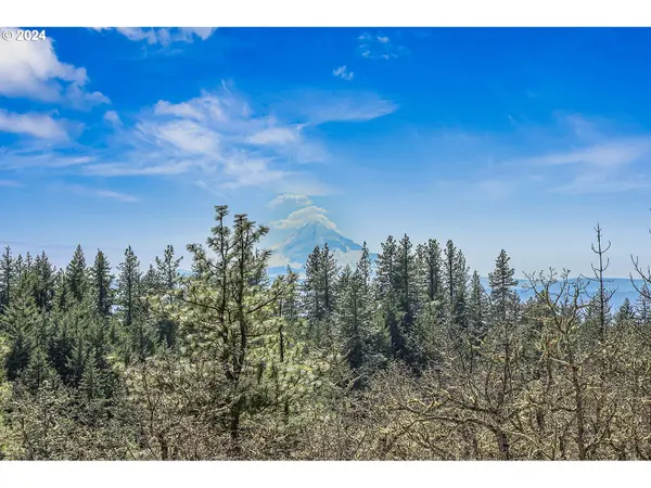 Secluded WAY #3, Lyle, WA 98635