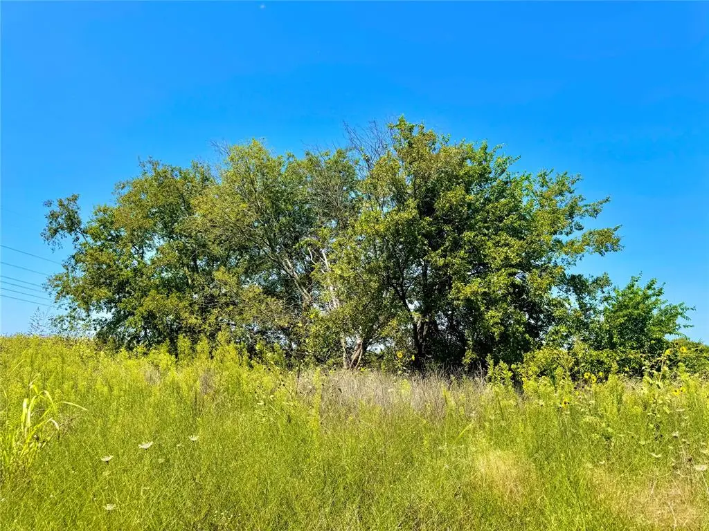 Lot 9 COUNTY ROAD 592, Nevada, TX 75173