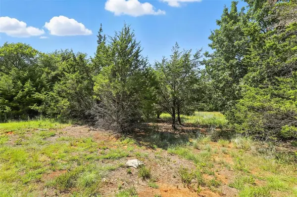 TBD Dan Road, Alvarado, TX 76009