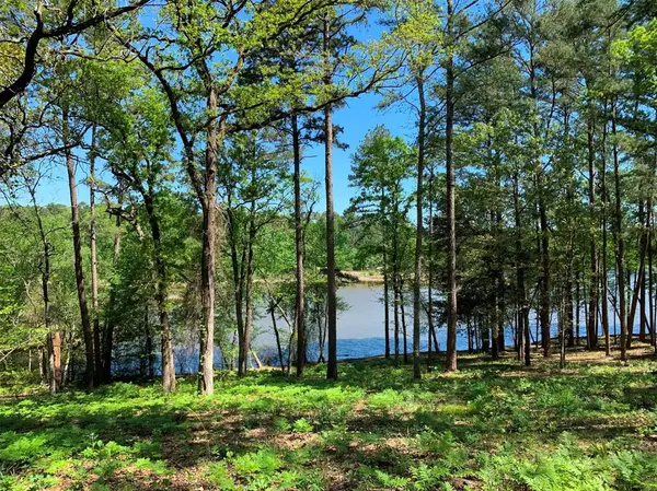 000 FM-3506, Frankston, TX 75763