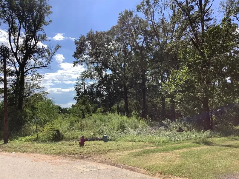 000 Park & Starks, Mansfield, LA 71052