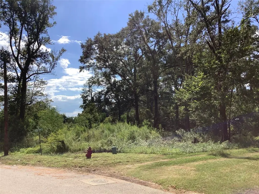 000 Park & Starks, Mansfield, LA 71052