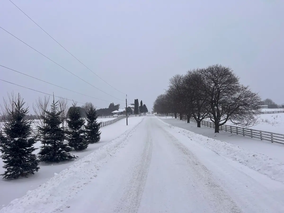 10207 Guelph Line, Milton, ON L0P 1B0