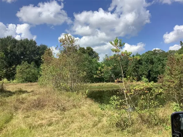 000 Park & Starks, Mansfield, LA 71052