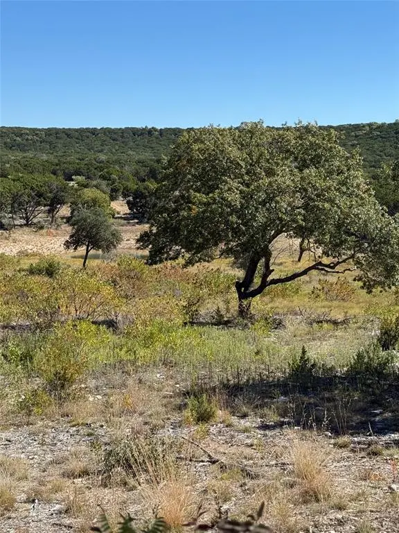 TBD CR 194 Road, Tuscola, TX 79562