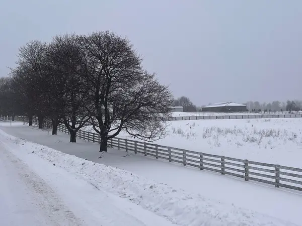 10207 Guelph Line, Milton, ON L0P 1B0