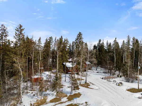 21078 Township Road 461, Rural Camrose County, AB T0B 3L0