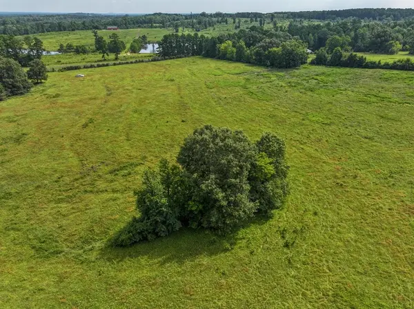 02 FM 2867, Henderson, TX 75654