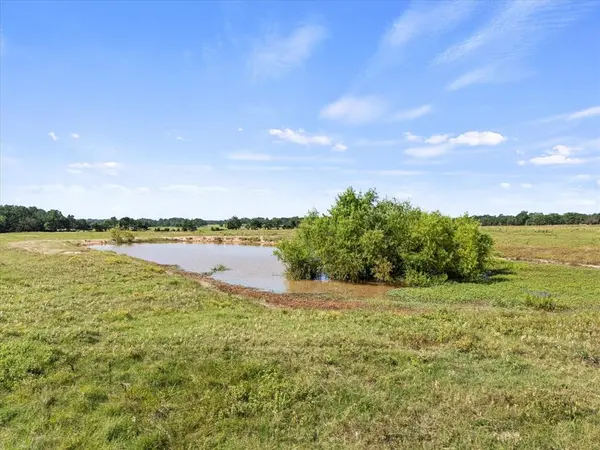 0 VZ CR 4607, Ben Wheeler, TX 75754