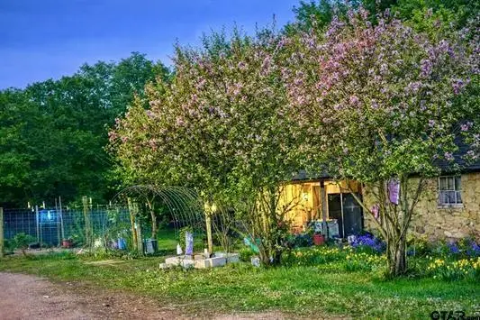 3640 Van Zandt County Road, Ben Wheeler, TX 75754