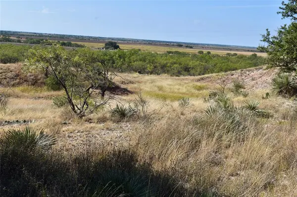 85 PR 527, Brady, TX 76825