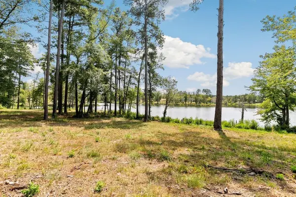 Lot 40 Big Rock Lake Road, Hallsville, TX 75650