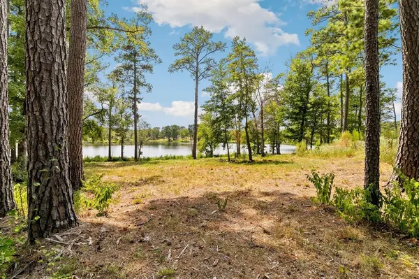 Lot 40 Big Rock Lake Road, Hallsville, TX 75650