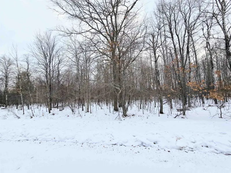 7 Fairway CT, Beaver Creek Twp, MI 49738