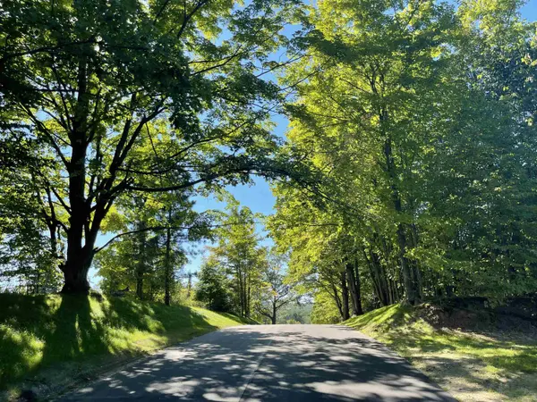 6165 Mountain Sky RD, Paradisetownship_grandtraverse, MI 49649