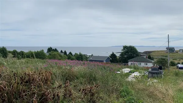 3 Doyles Road, Gull Island, NL A0A1M0