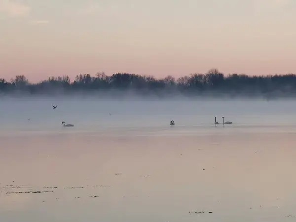 24 Lakeshore RD, Georgina, ON L0E 1N0