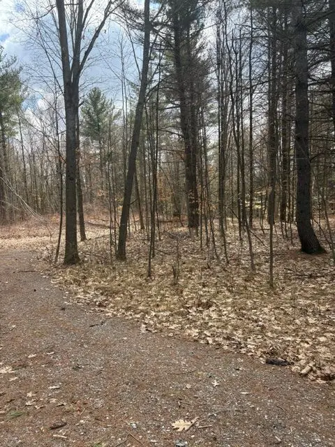 97 Greenly RD, Trent Hills, ON K0K 3K0