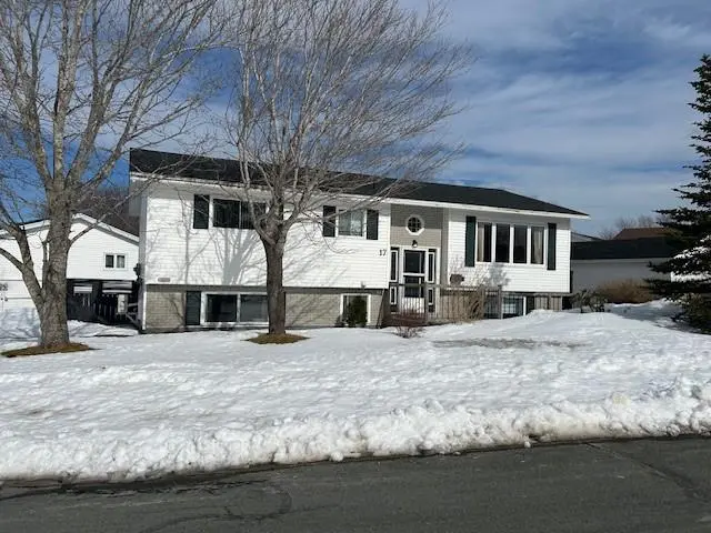 17 Tweedsmuir Place, Mount Pearl, NL A1N 2L7