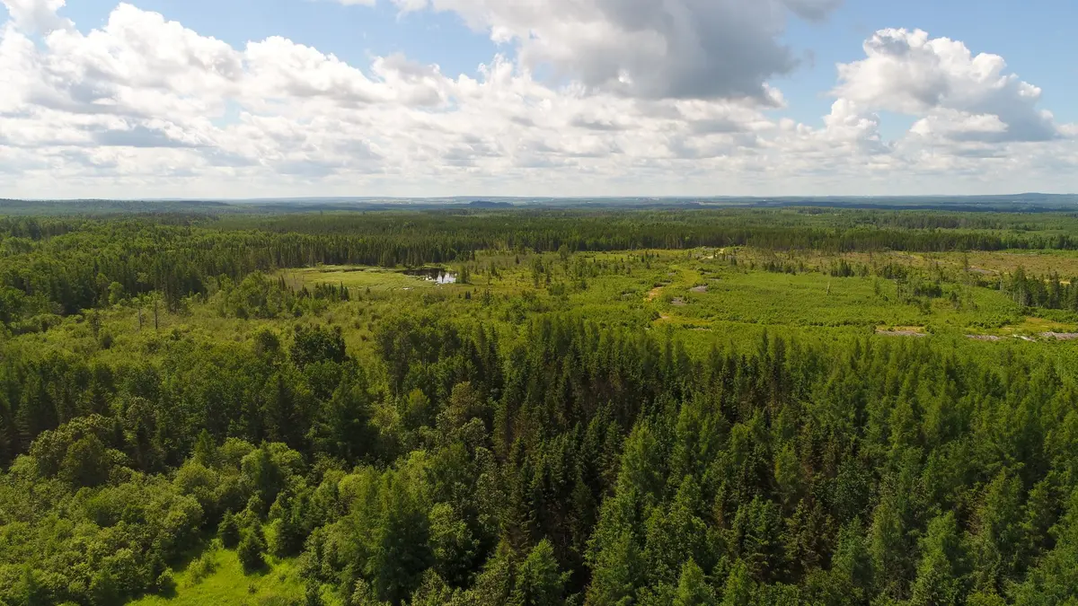 Lot 5 Con 3 N/A, Englehart, ON P0J 1H0