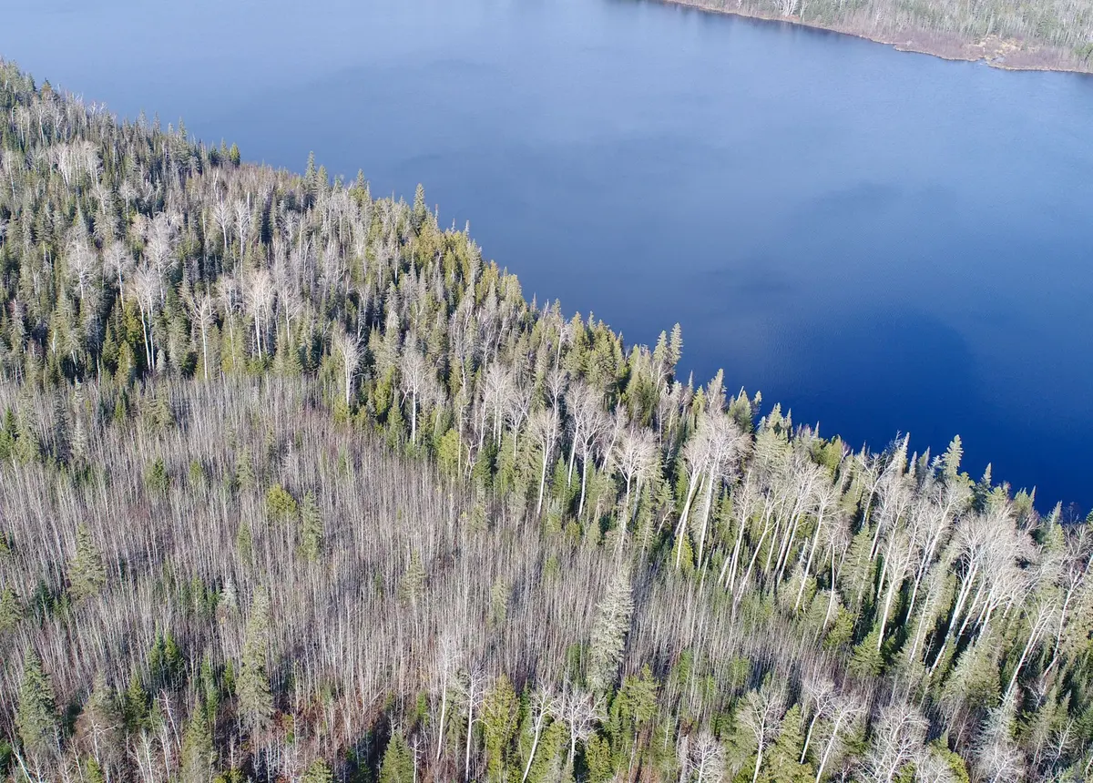 Lot 11 Con 4, Long Lake N/A, Englehart, ON P0J 1H0