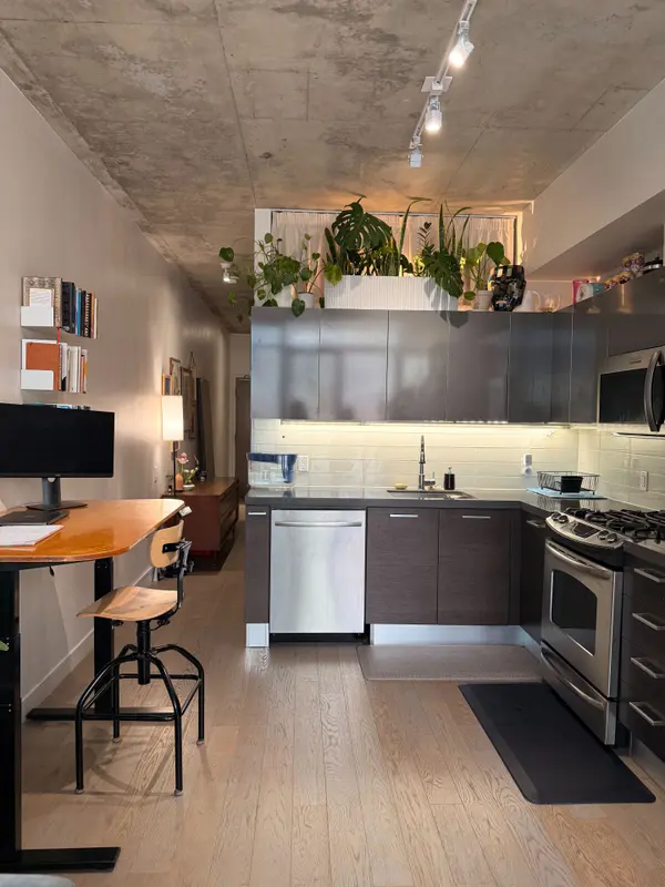 25 Stafford ST #308, Toronto C01, ON M5V 0G3