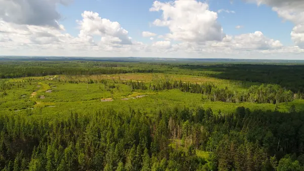 Lot 5 Con 3 N/A, Englehart, ON P0J 1H0