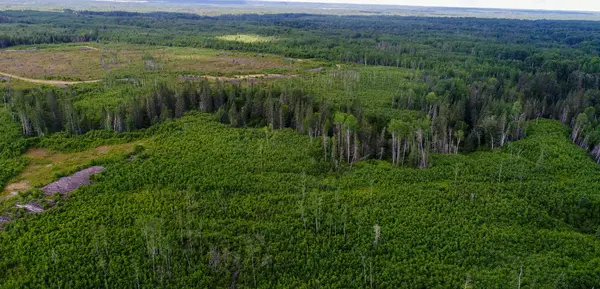 Lot 5 Con 3 N/A, Englehart, ON P0J 1H0