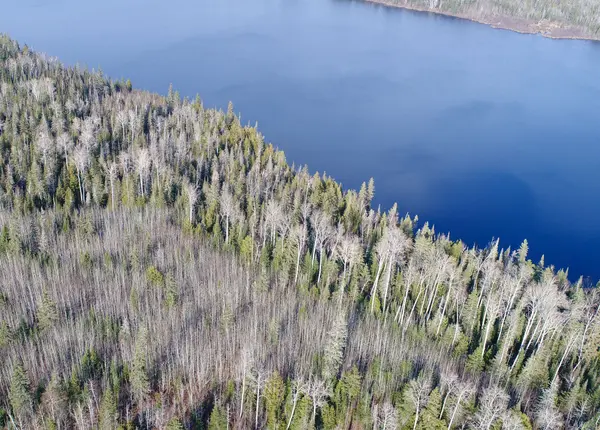 Lot 11 Con 4, Long Lake N/A, Englehart, ON P0J 1H0