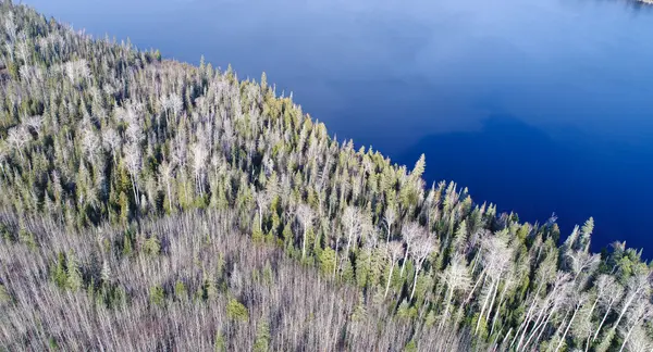 Lot 11 Con 4, Long Lake N/A, Englehart, ON P0J 1H0