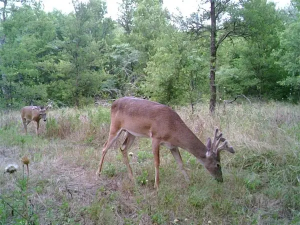 141 County Road 2349, Richland, TX 76681