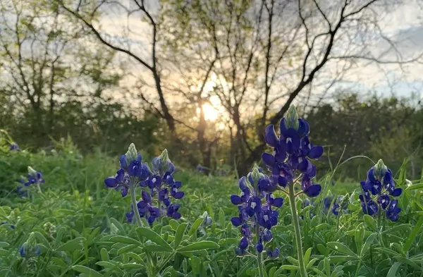 141 County Road 2349, Richland, TX 76681