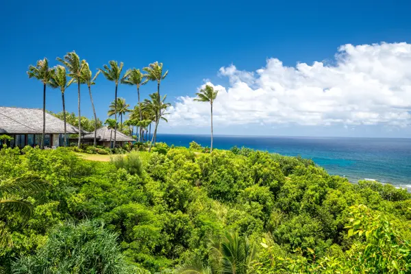 4200 ANINI VISTA DR #D, Kilauea, HI 96754