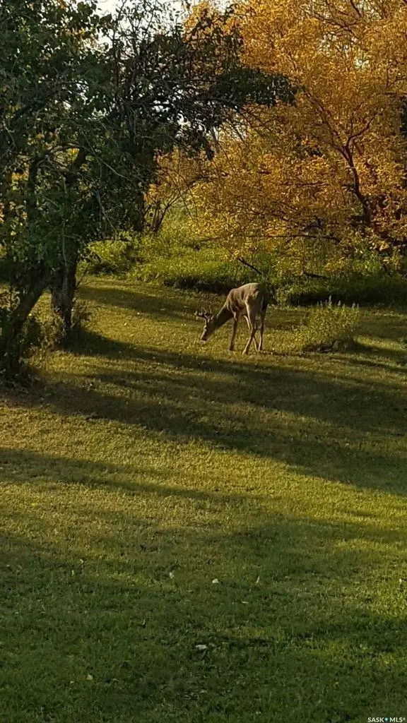 1000 Railway AVENUE W, Foam Lake, SK S0A 1A0