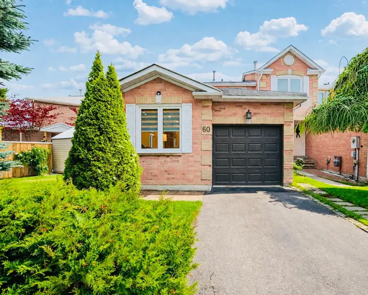 60 Steepleview CRES #Basement, Richmond Hill, ON L4C 9R3