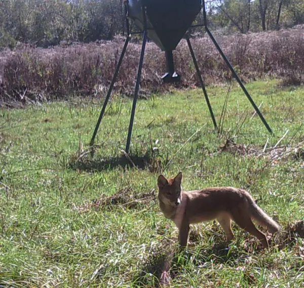 2280 County Road 129, Tyler, TX 75703