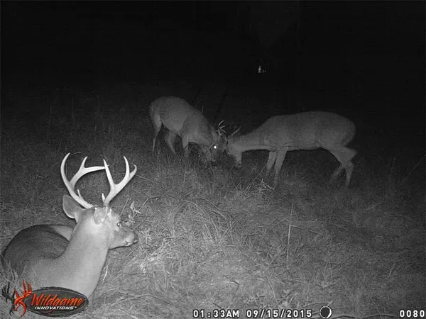 2280 County Road 129, Tyler, TX 75703